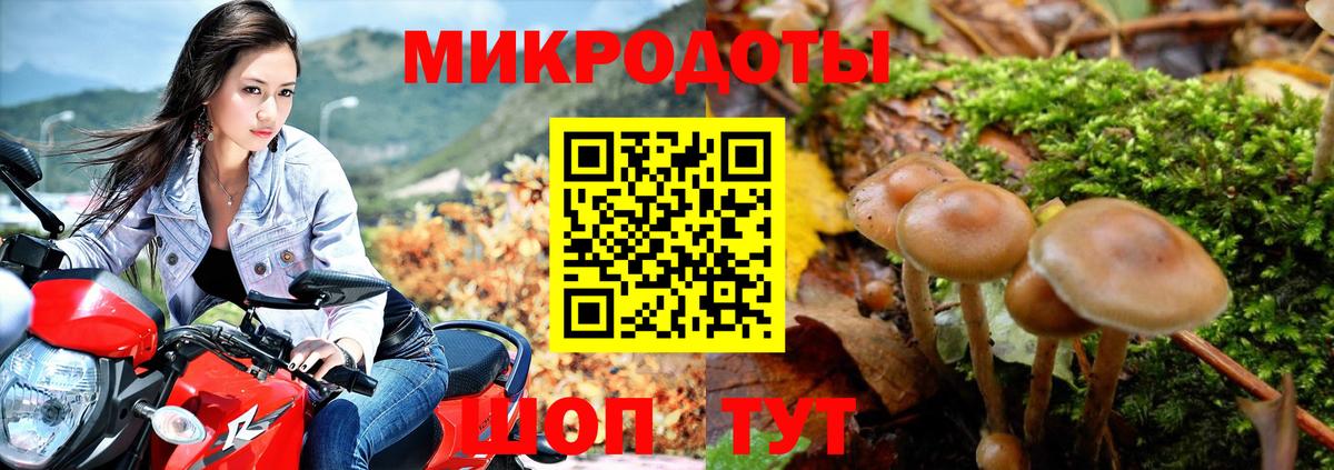 Магнитогорск  Галлюциногенные грибы Psilocybe  Вход с VPN  Галлюциногенные грибы мухоморы 