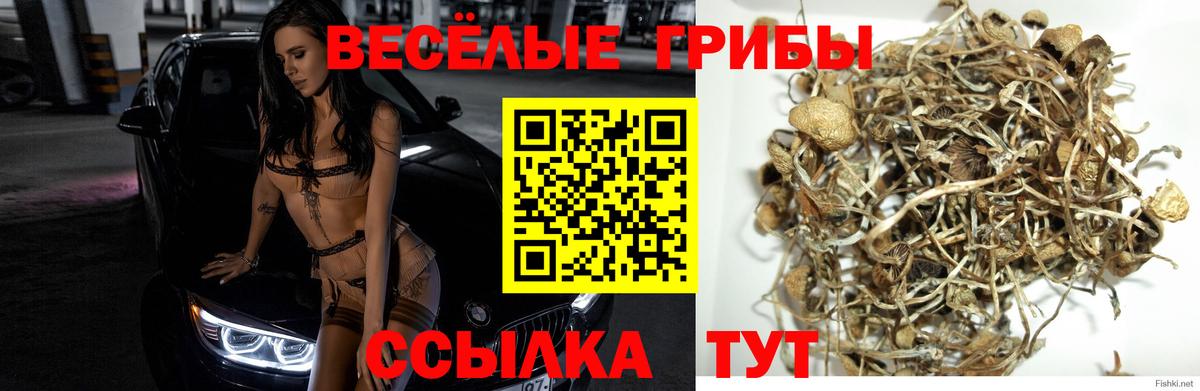 LSD-25 Магнитогорск